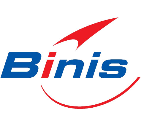 Binis